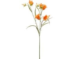 Emerald - Kunstbloem Klokje 65cm oranje - Kunstplant voor binnen EAN: 8714344390322