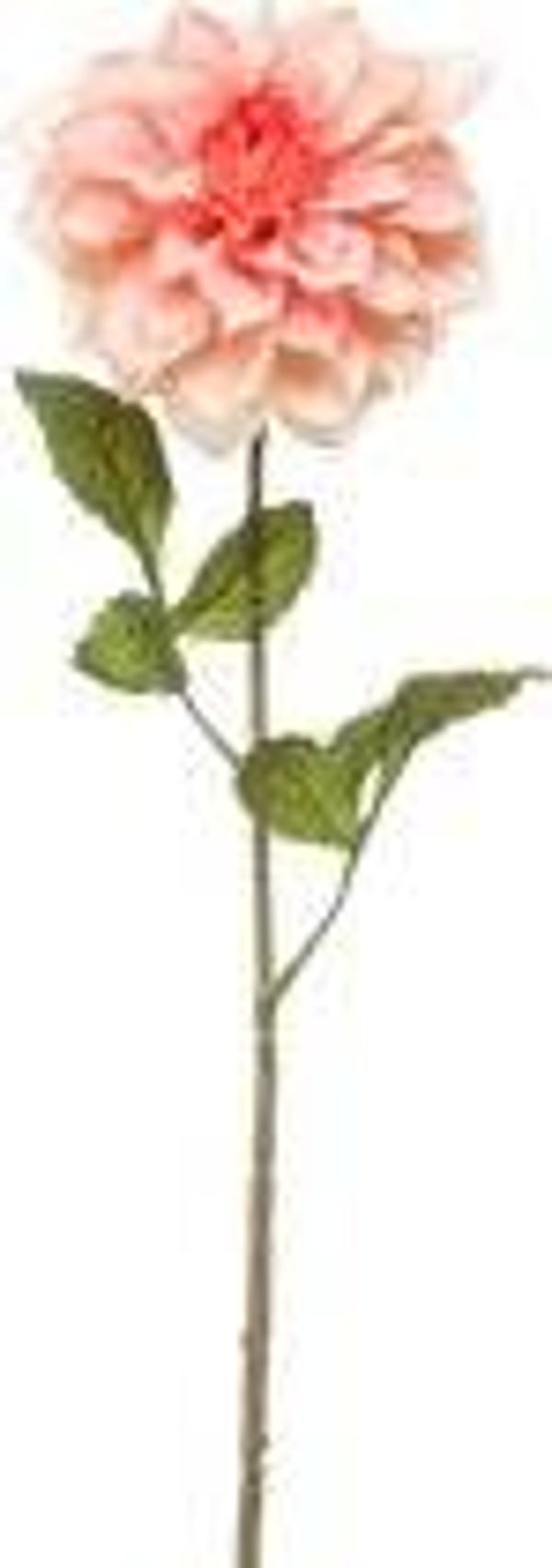 Emerald - Kunstbloem Dahlia 72cm peach - Kunstplant voor binnen EAN:  8714344386950