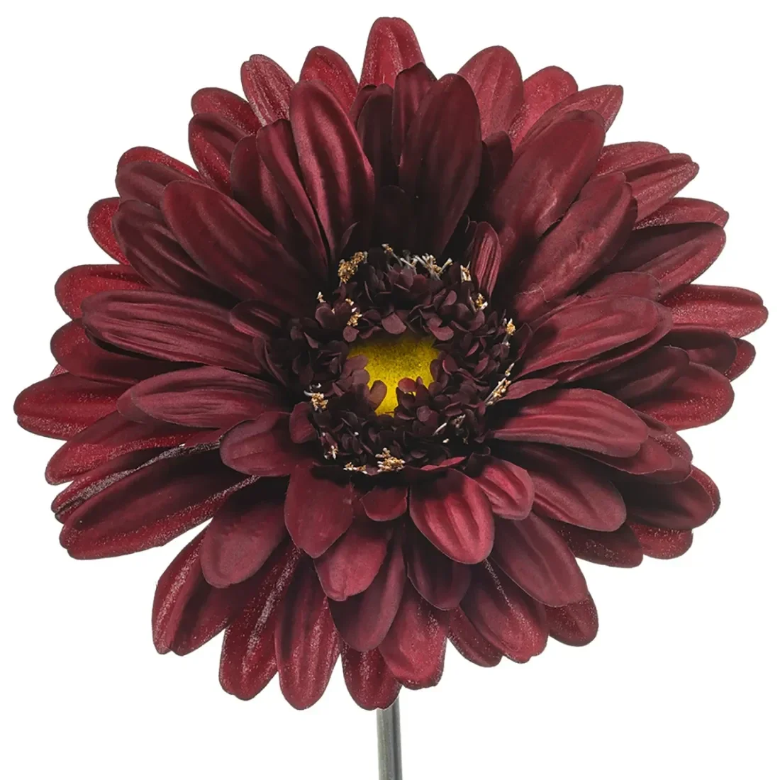 Emerald Gerbera giant spray burgundy 105cm