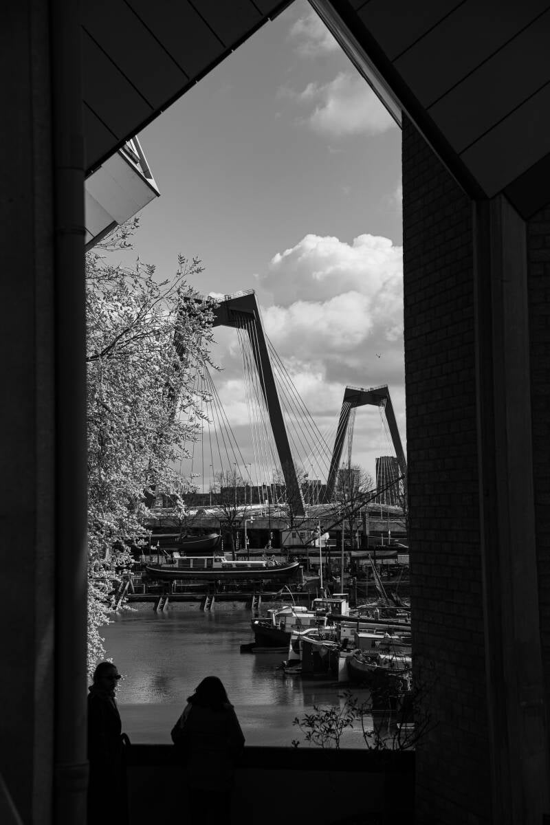 ROTTERDAM 2026