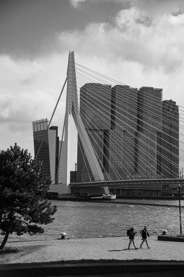 Wanddecoratie - Erasmusbrug | Rotterdam