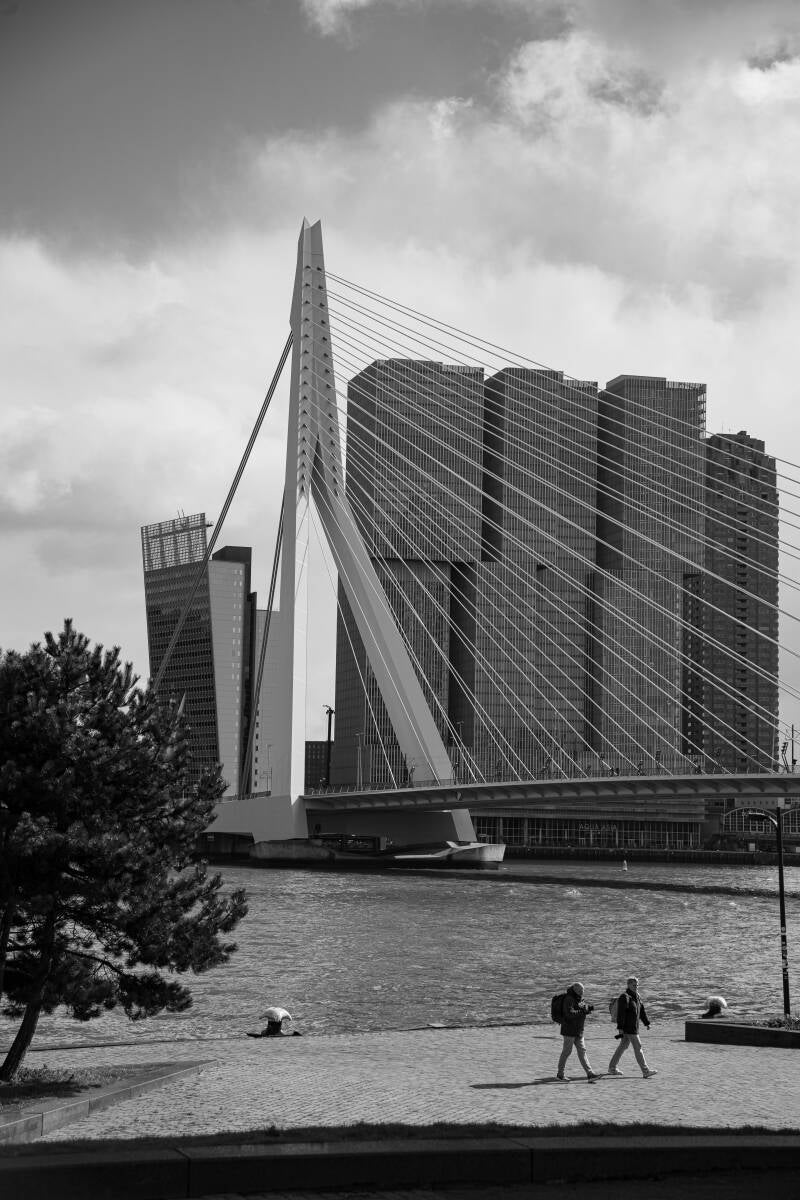 ROTTERDAM 2026