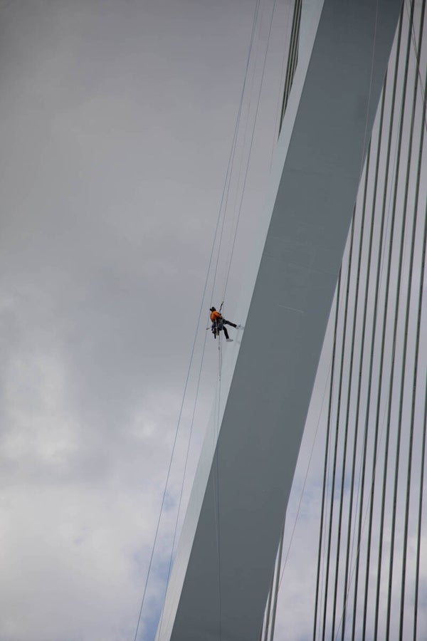 Wanddecoratie - Erasmusbrug | Rotterdam