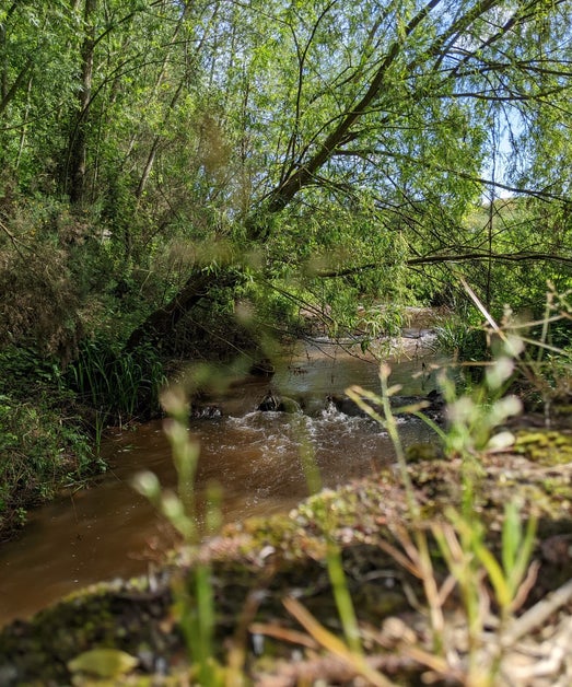 Wandelpad langs de Nete.