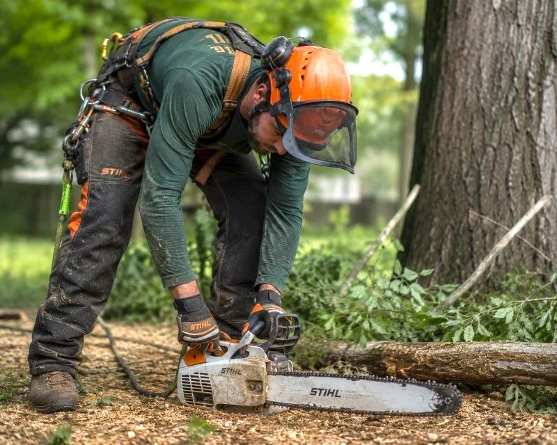 Trades professional working outdoors in a forested setting — MGVA Virtual Assistant supports Ontario arborists, landscapers and outdoor trades businesses