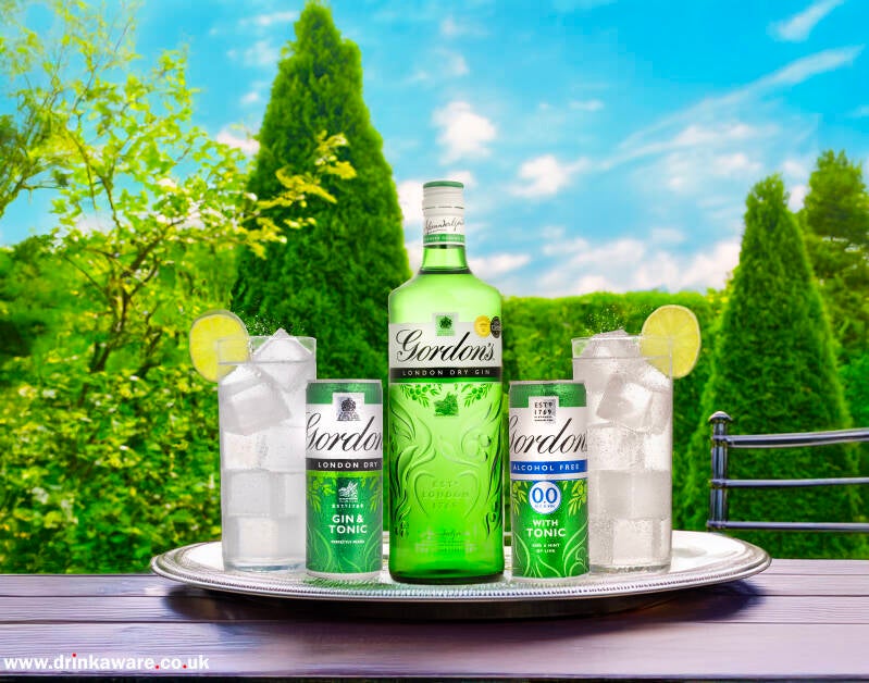gordons-drinks-standard-743vq7.jpg