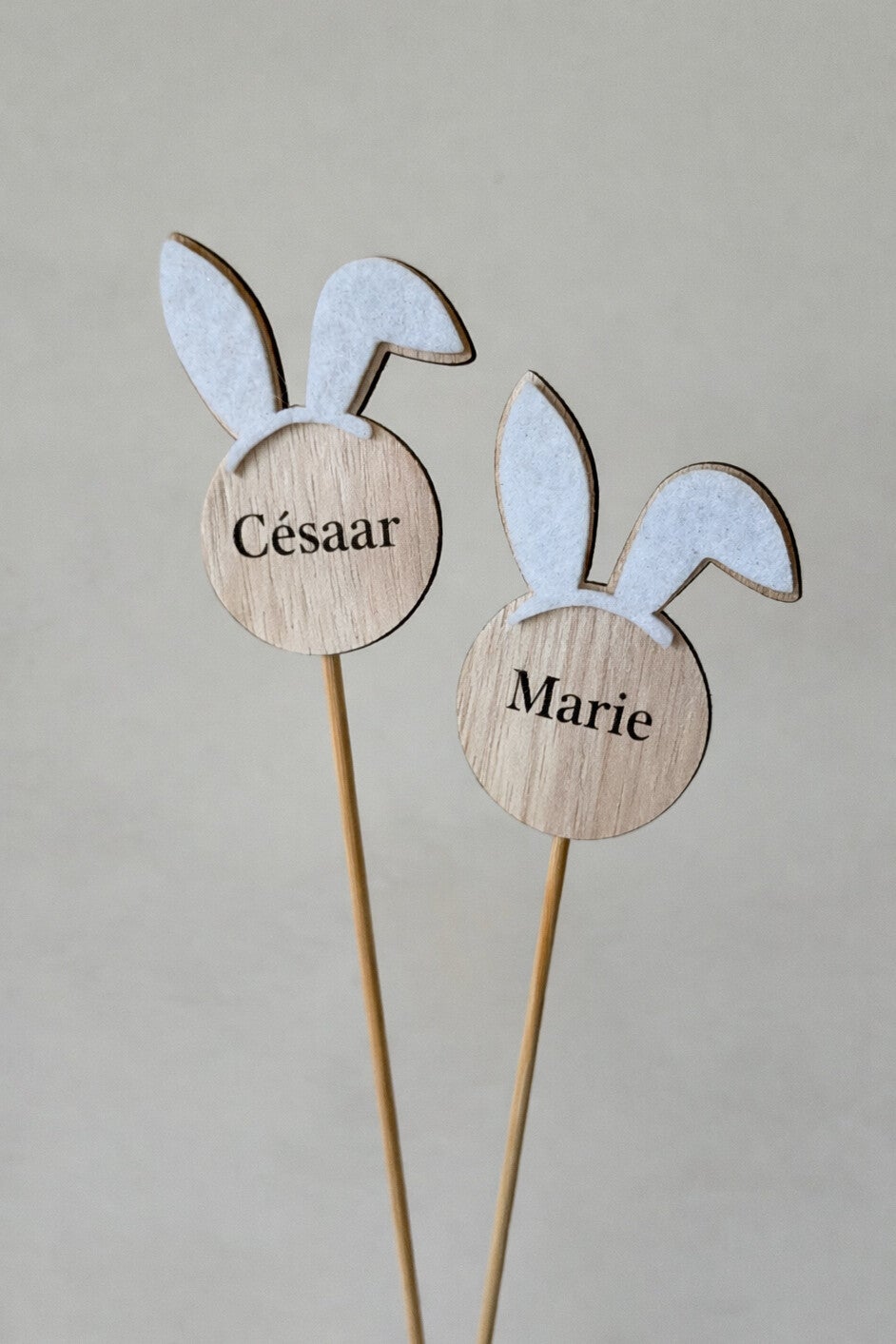 gepersonaliseerd paasstokje konijnoren