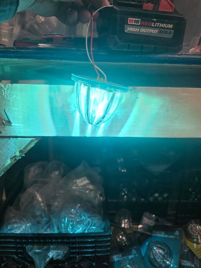 Cyan Large Water Clearance Light only