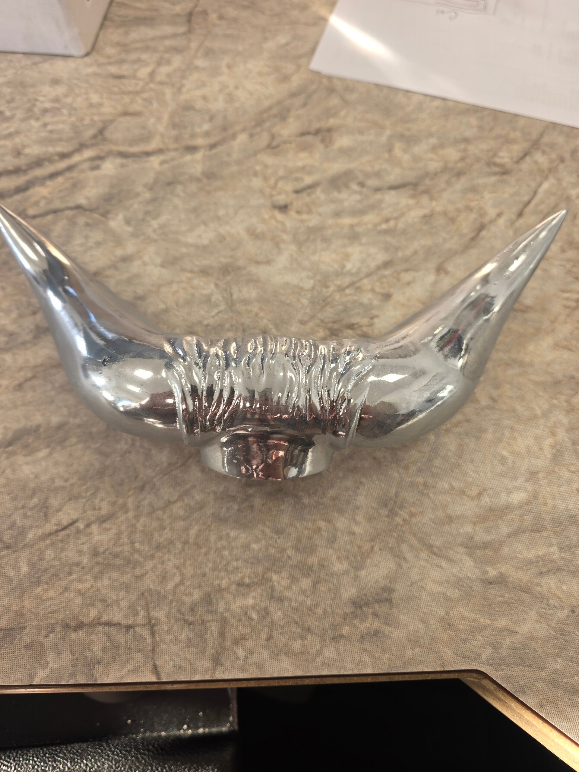 Chrome Bull Horn Hood
