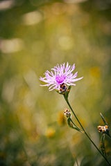 f6967df5-5263-4ca7-9be3-b045e08e89ec.jpeg