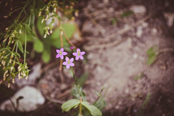 d8645ac5-2be2-4716-bd47-0e4396bd8f4e.jpeg