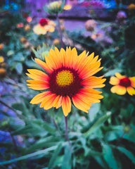 7fae5ce4-bbd6-4d25-8154-4a37289e0f0d.jpeg