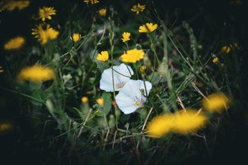 56e9b5bd-e0c9-47e0-bc14-5ad25aaf736b.jpeg