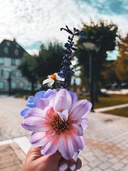 e6f69935-b04c-42d5-9050-b7d8e84315df.jpeg