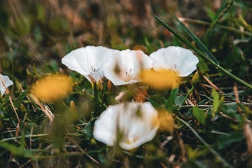 1ab8f0be-ccf2-41ac-947d-0270df700bfe.jpeg