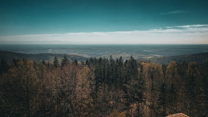 5327508e-578e-4347-85bc-6fc8134d41c6.jpeg