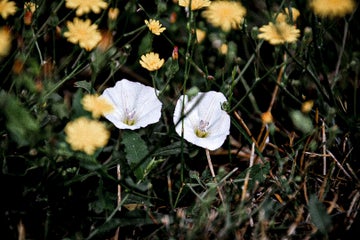 1501e562-55d3-4ac7-a376-34aae740a740.jpeg