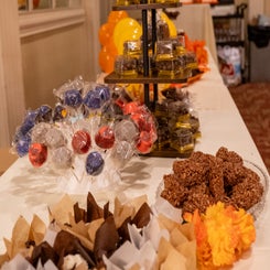 dsc09737-standard.jpg
