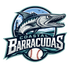 Coastal Barracudas