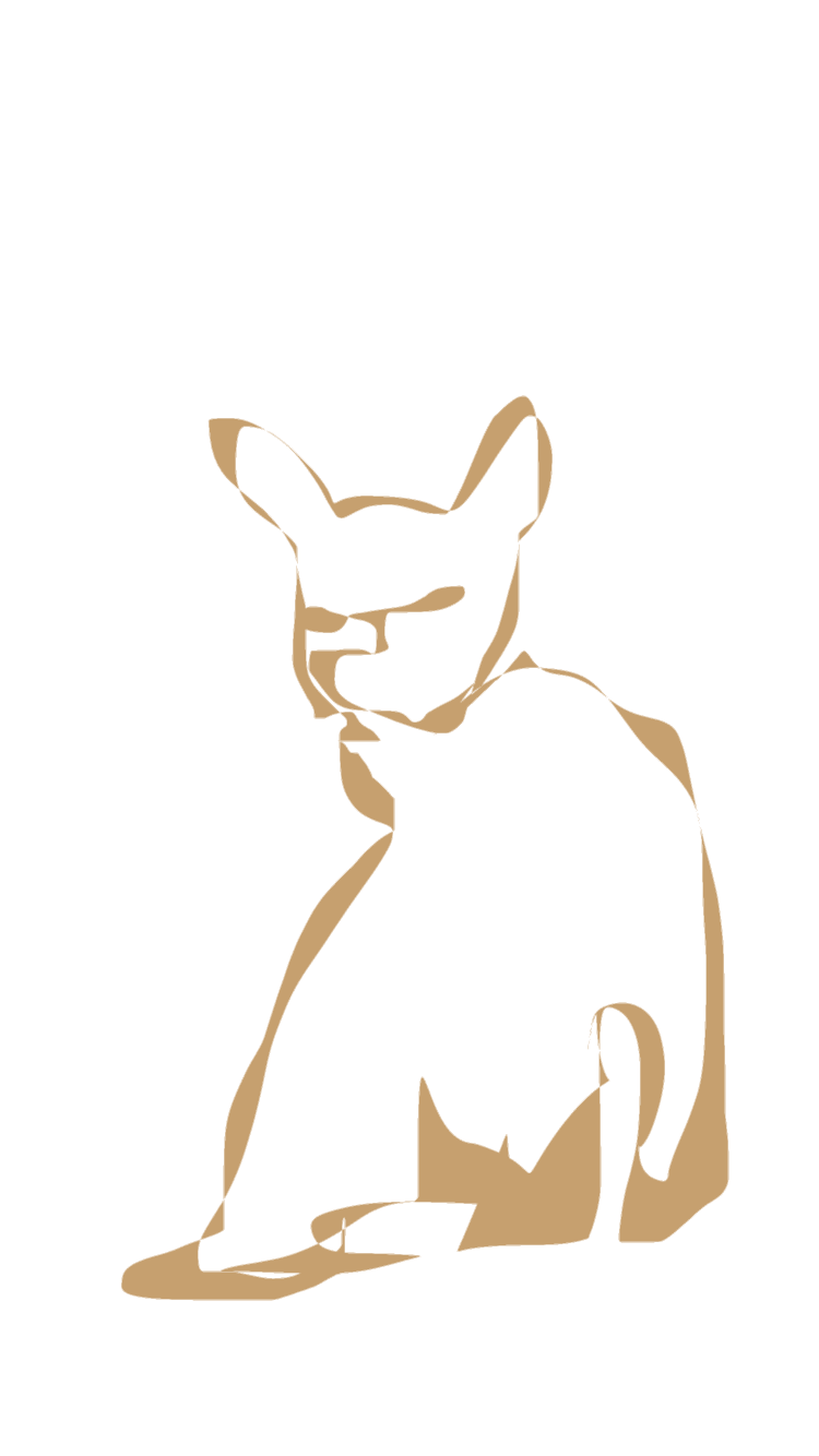 img_0103-standard.png