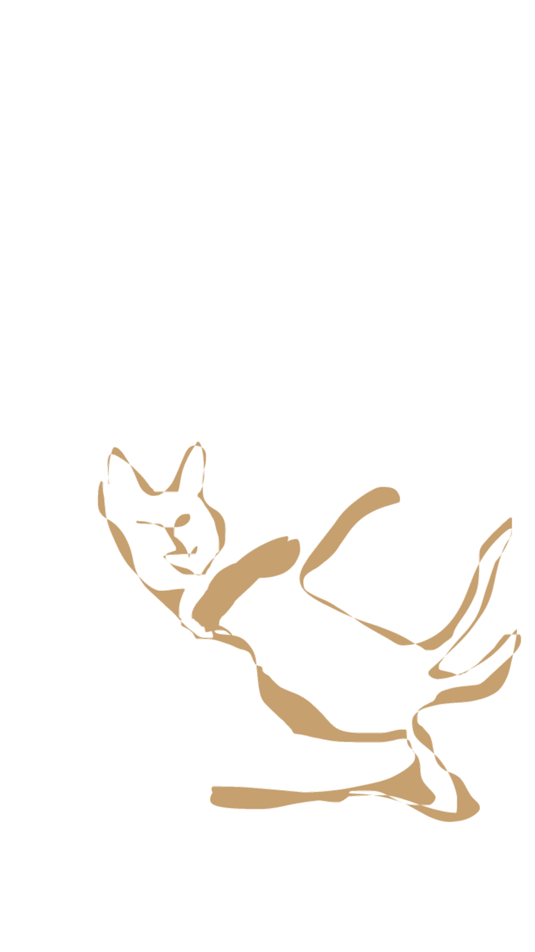 img_0104-standard.png