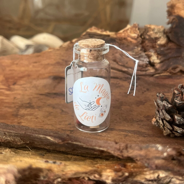 Message de l'univers