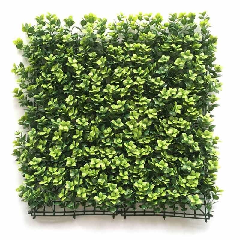 Reineckia Carne Panel