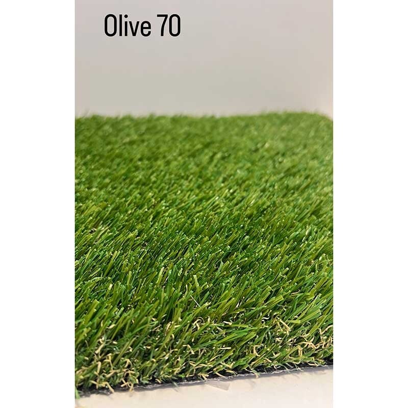 Olive 70oz