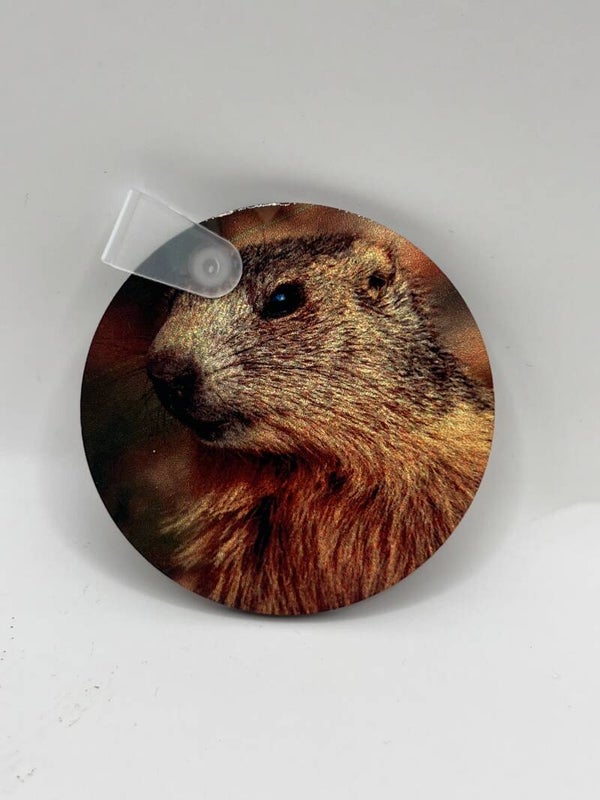 porte clé  marmotte