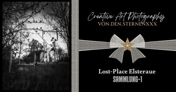 Creative ArtPhotography - Lost-Place Elsteraue - Sammlung 1