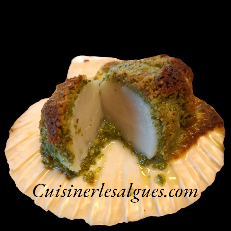 ST JACQUES EN CRUMBLE D'ALGUES