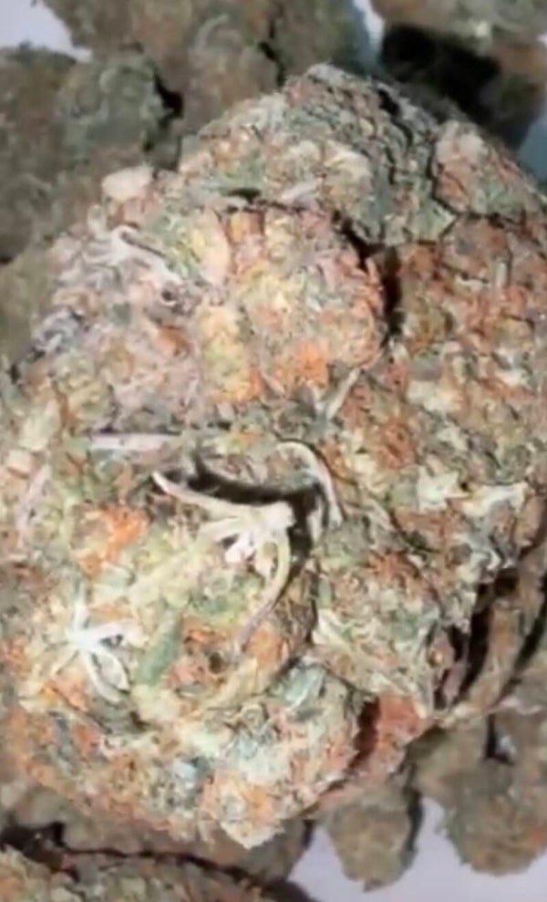 WEED MANDARINA COOHIE🍰