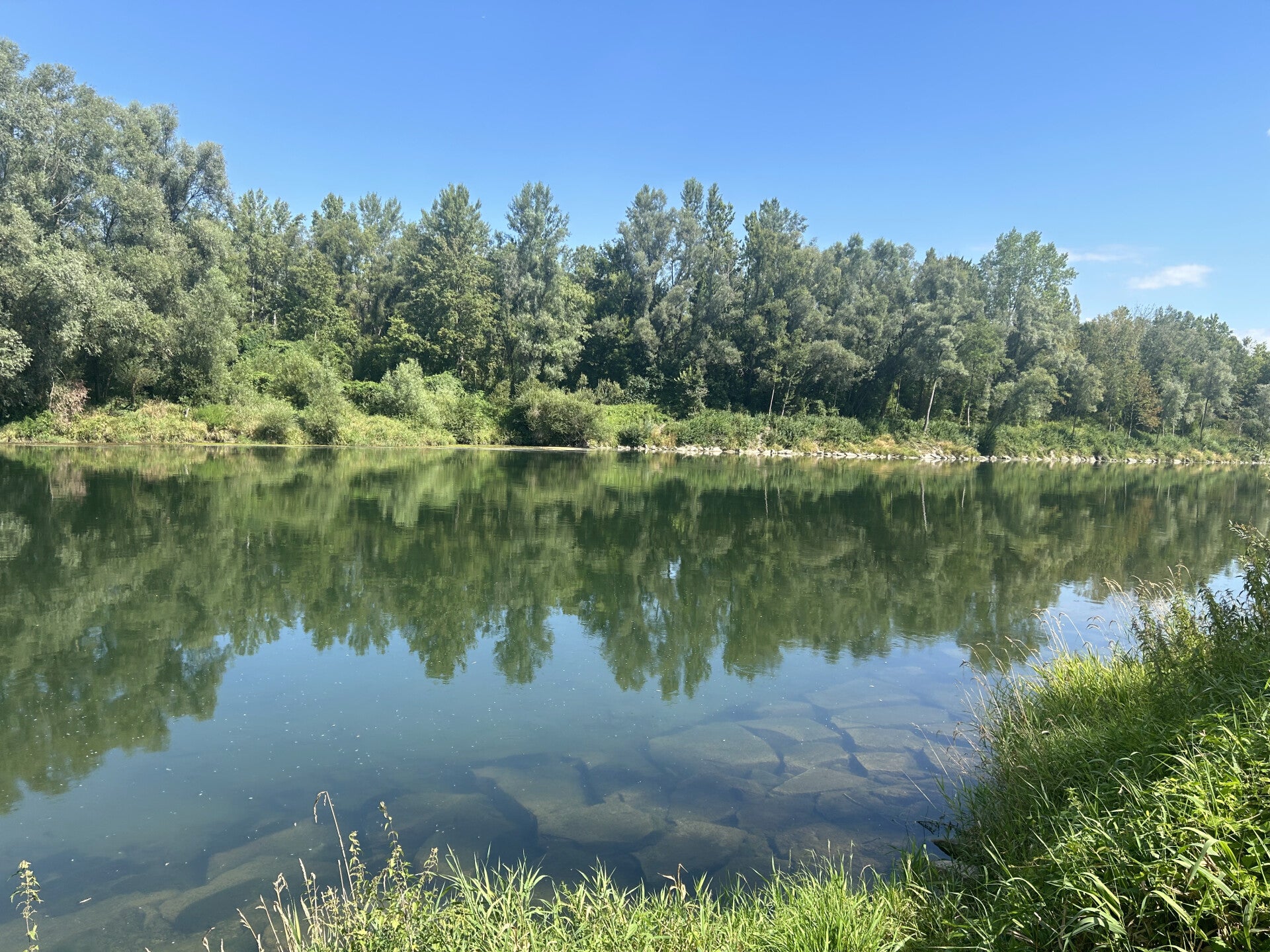 Beratung entlang der Traun. Blick auf das gegenüberliegende Ufer. Die Bäume spiegeln sich im Wasser, darüber blauer Himmel