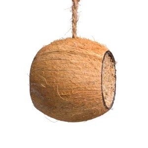 CM Whole Coconut Drum