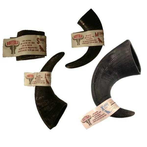 Buffalo Horn