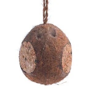 CM Whole Coconut with Three Holes