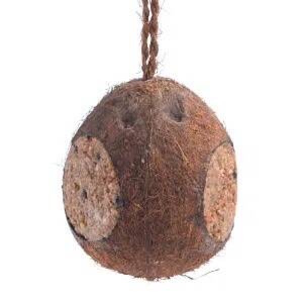 CM Whole Coconut with Three Holes