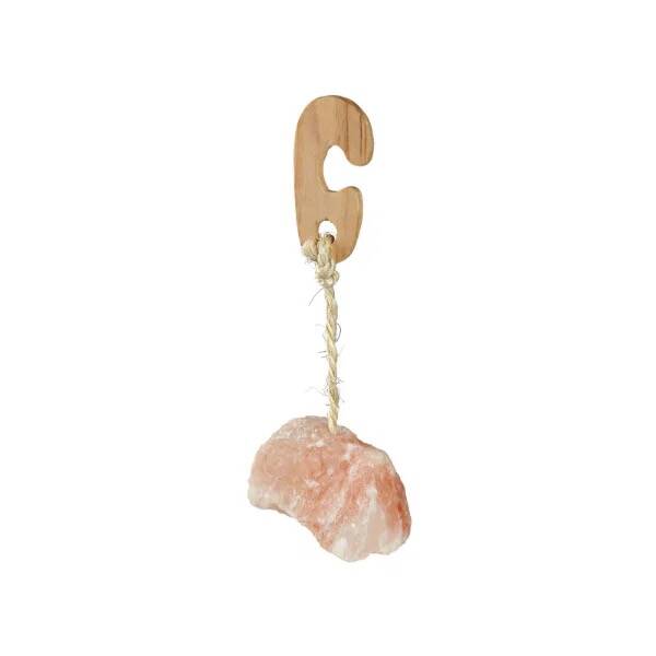 Trixie Salt Lick 60g
