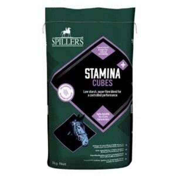 Spillers Stamina+ Cubes