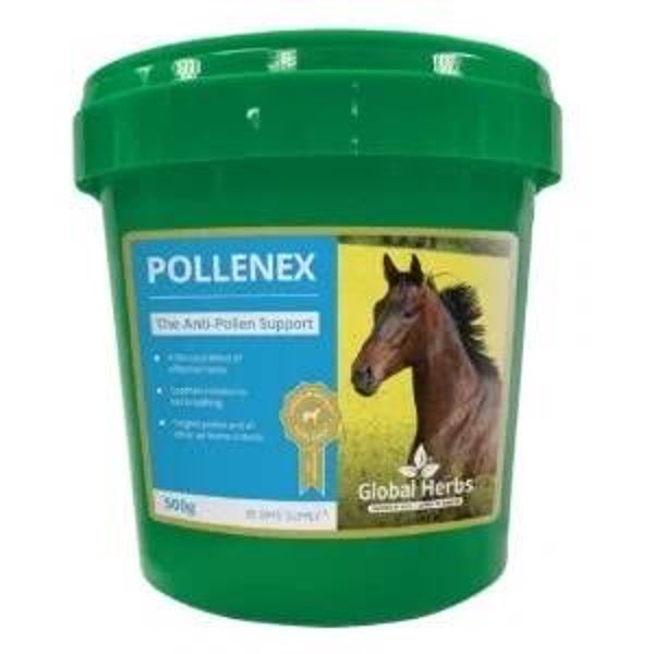 Global Herbs Pollenex Powder 500g