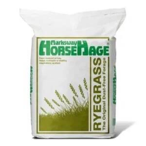 HorseHage Ryegrass