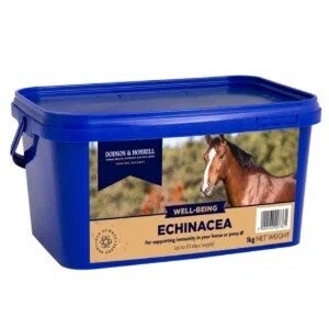 D&H Echinacea 1kg