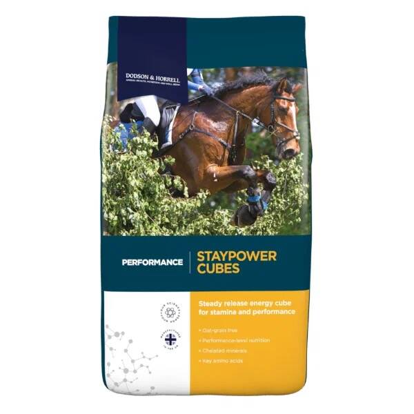 D&H Staypower Cubes