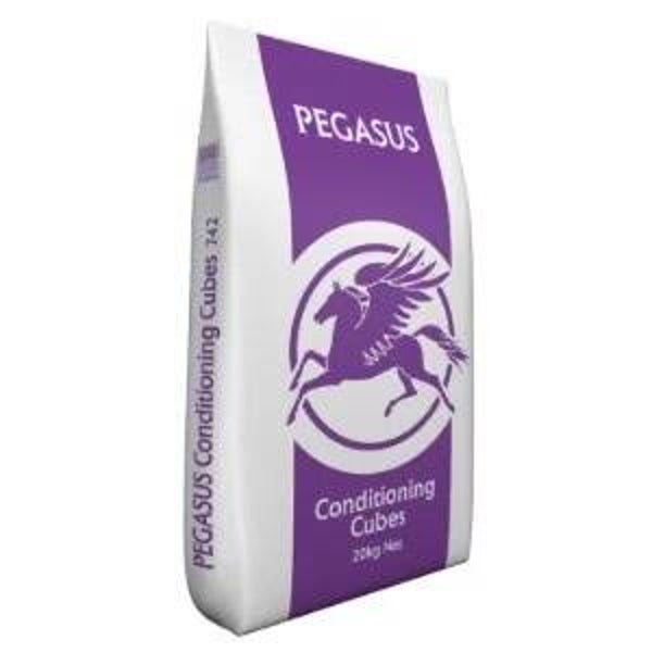 Pegasus Condition Cubes 20kg