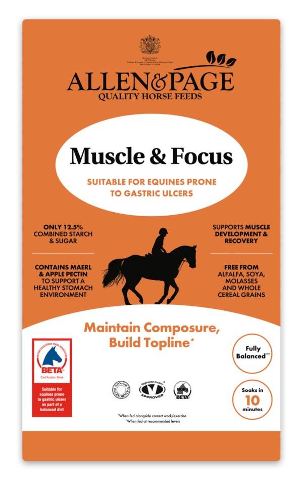 Allen & Page Muscle & Focus
