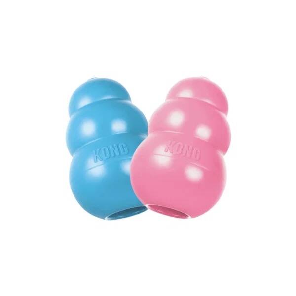 Kong Puppy