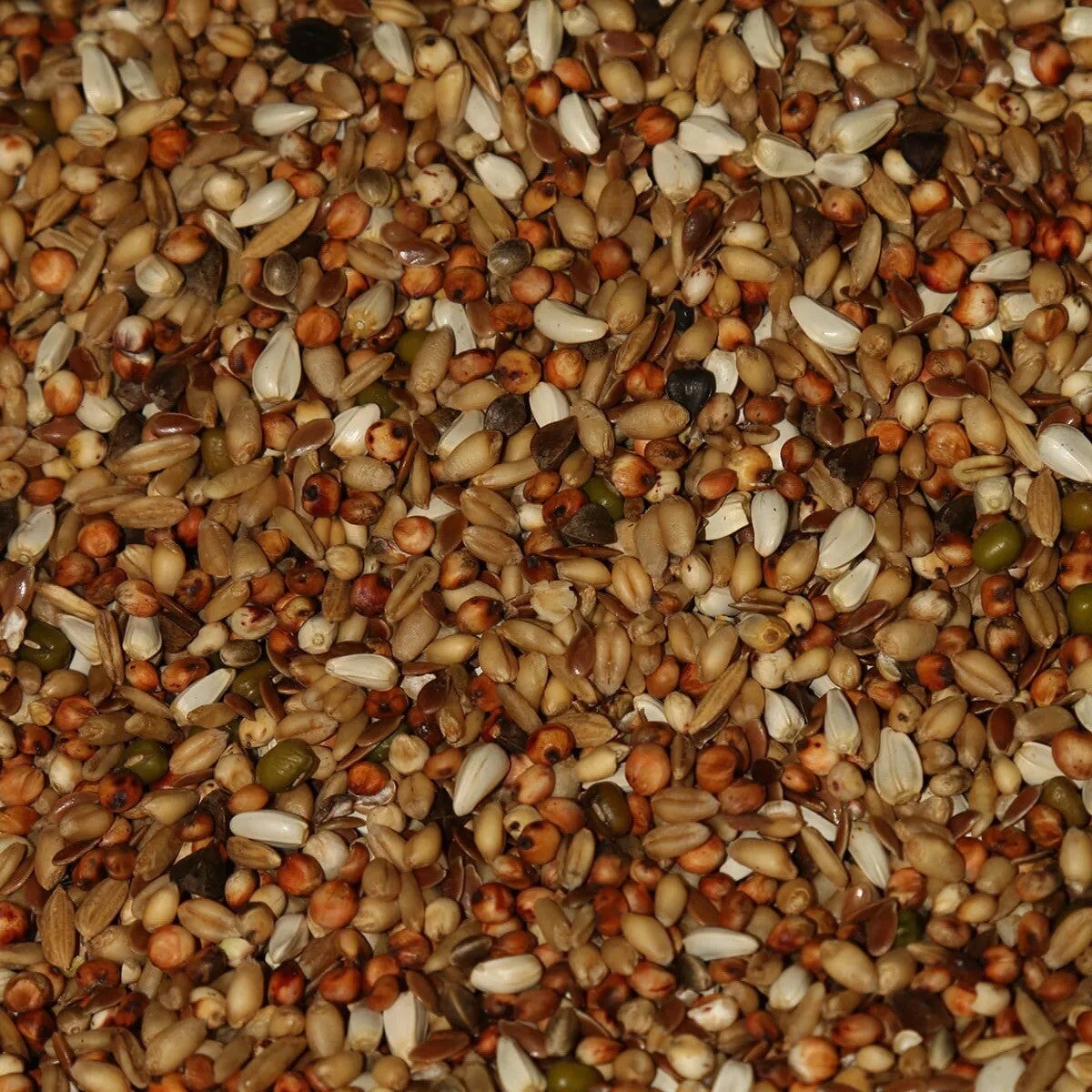 Parti Mix Blend 12.5kg