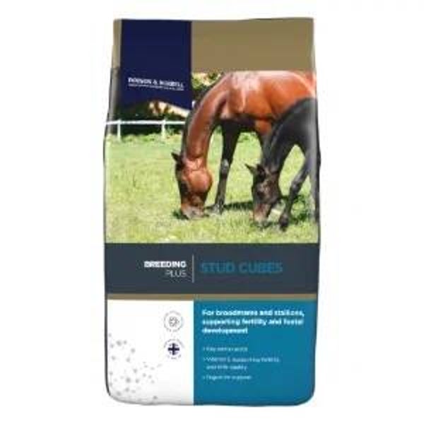 D&H Stud Cubes 20kg