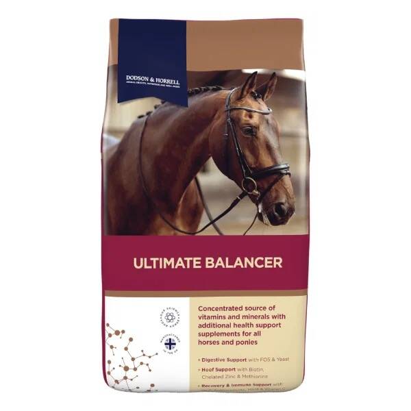 D&H Ultimate Balancer 20kg