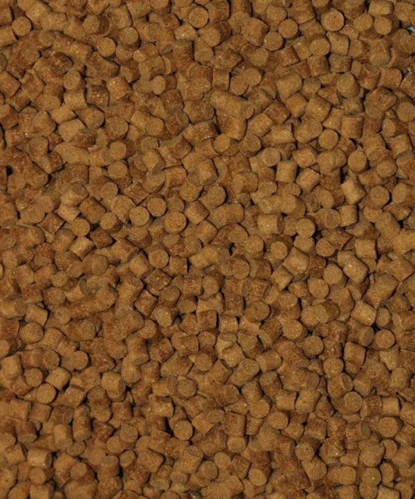 Skretting Coarse Sinking Pellets 25kg